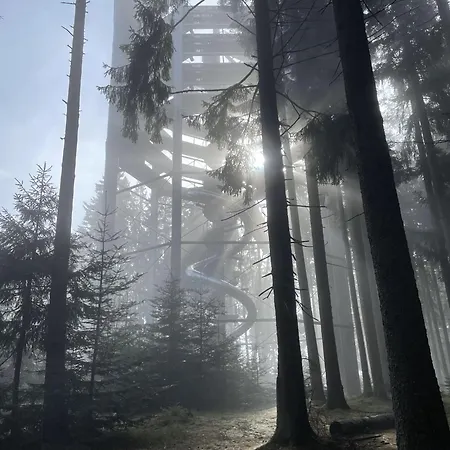 Lipno Moss * Lipno nad Vltavou