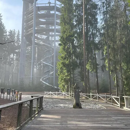 Lipno Moss Apartment