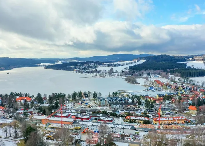Lipno Moss