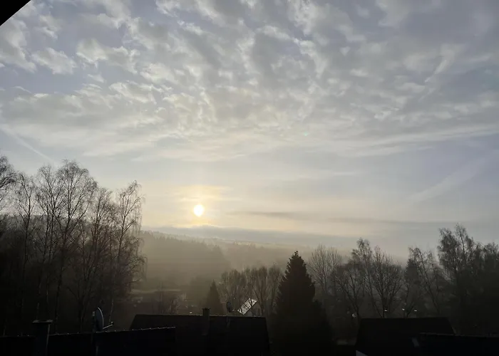 Lipno Moss * Lipno nad Vltavou